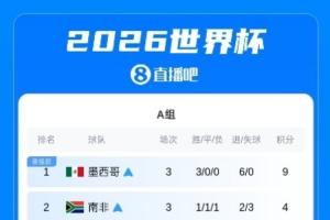 世界杯小組賽完整積分榜：巴德荷比西法阿英獲得各自小組第一出線-q7