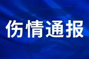 海地對決世界杯巴西低調看直播_海地對決世界杯巴西低調看直播在線觀看_免費看直播