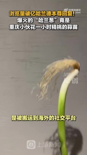 重磅比利時(shí)大戰(zhàn)埃及jrs直播_重磅比利時(shí)大戰(zhàn)埃及jrs直播在線觀看_免費(fèi)看直播