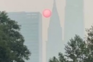 實時世界杯蘇格蘭VS巴西進球集錦_實時世界杯蘇格蘭VS巴西進球集錦在線觀看_免費看直播