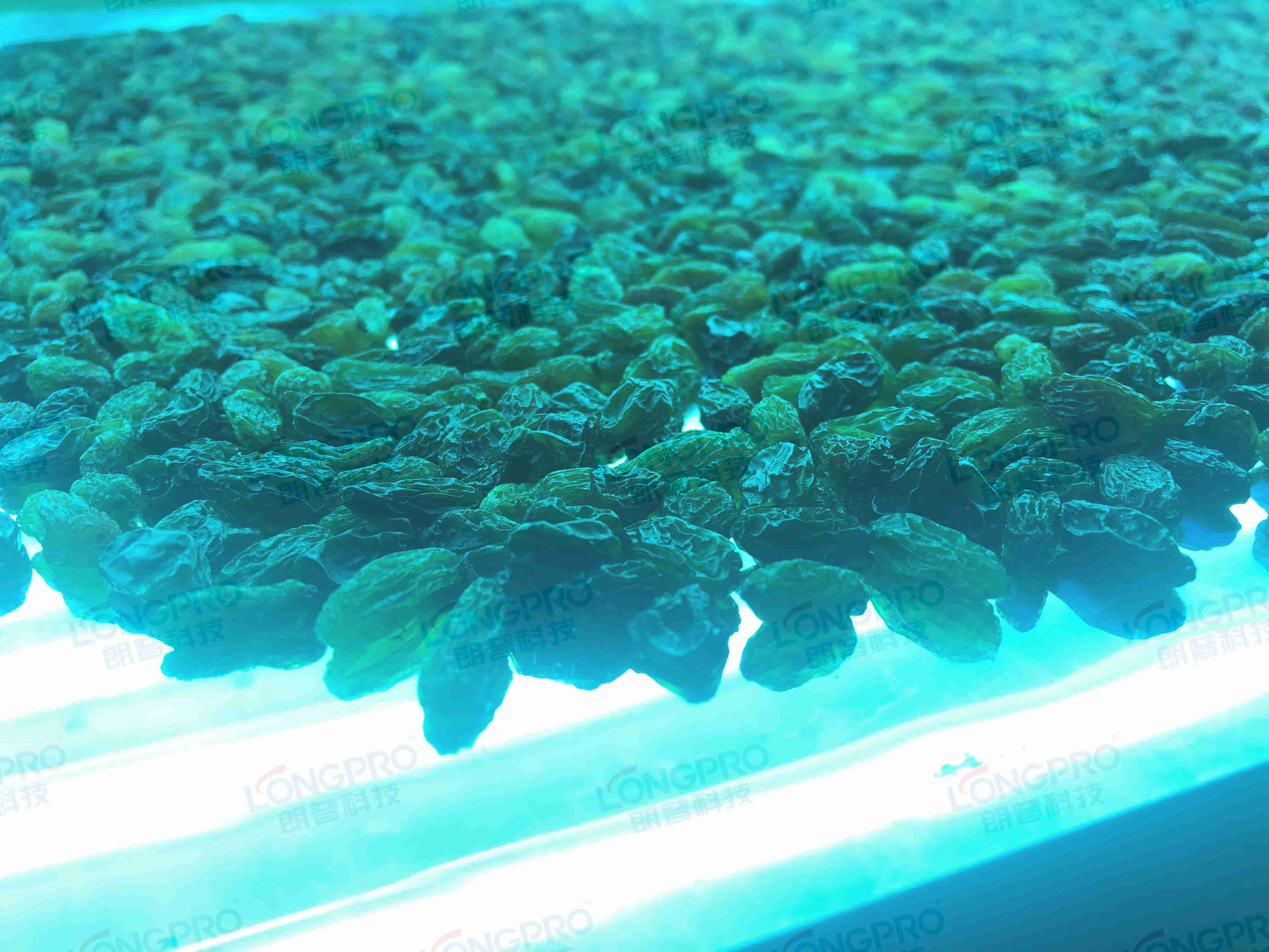 食品細(xì)菌超標(biāo)怎么解決？utf-8