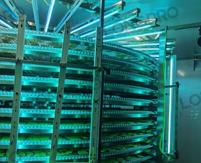 食品廠防爆紫外線殺菌燈：保障食品生產(chǎn)環(huán)境安全的利器！