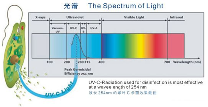 科普！紫外線殺菌燈對人體影響及正確使用方法